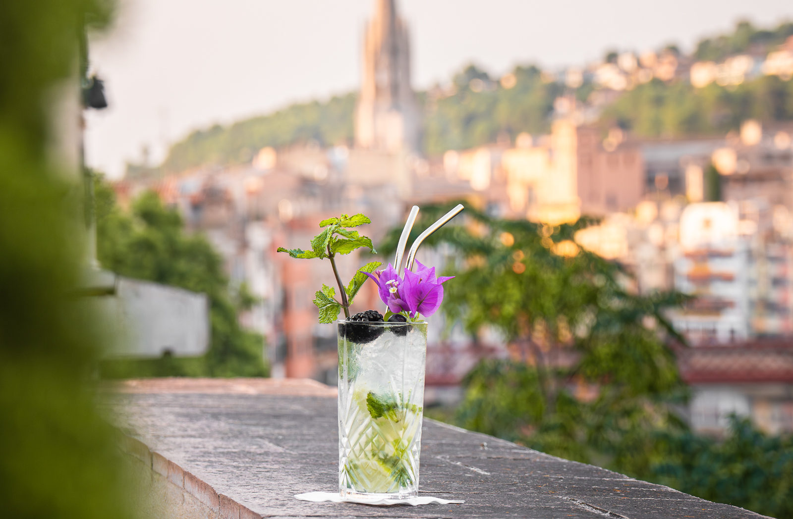 IVY02797-Mejorado-NR-e1728480170648