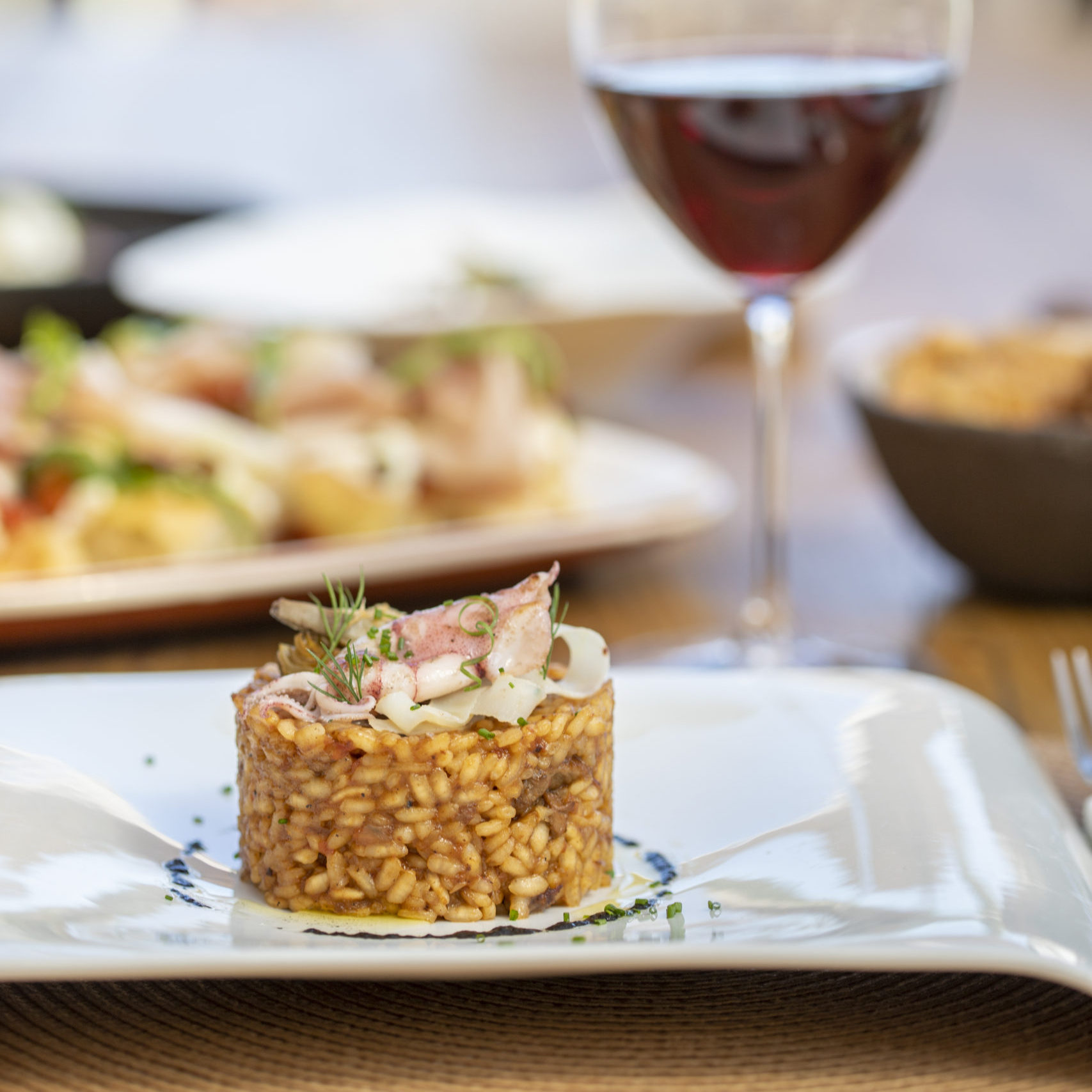 MG_4180-copia-scaled-e1728479952799